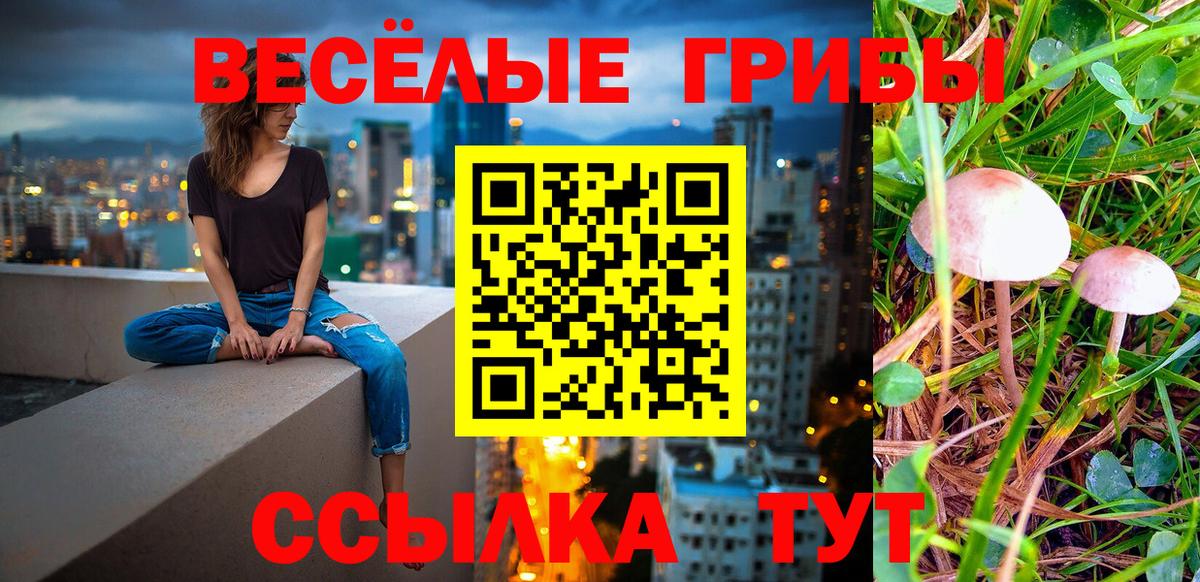 Богородицк  Галлюциногенные грибы Cubensis  Вход с VPN 