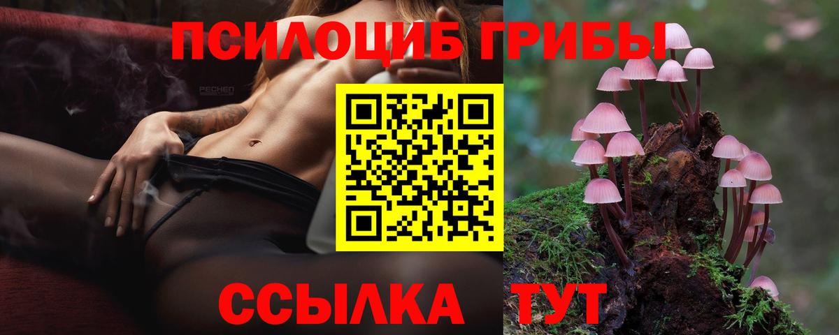 Псилоцибиновые грибы MAGIC MUSHROOMS Богородицк